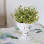 Cream Antheil Goblet