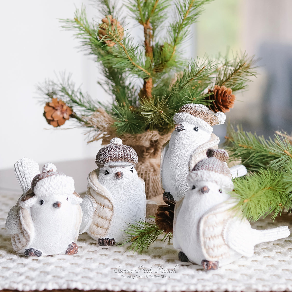 Winter Resin Bird With Vest