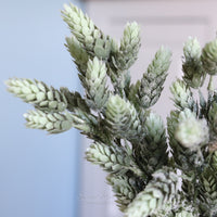 Frosted Hops Greenery Collection