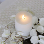 Halo Gleam Eucalyptus Collection