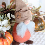 Spice the Fall Gnome