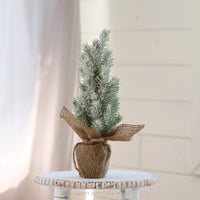 Mini Potted Pine