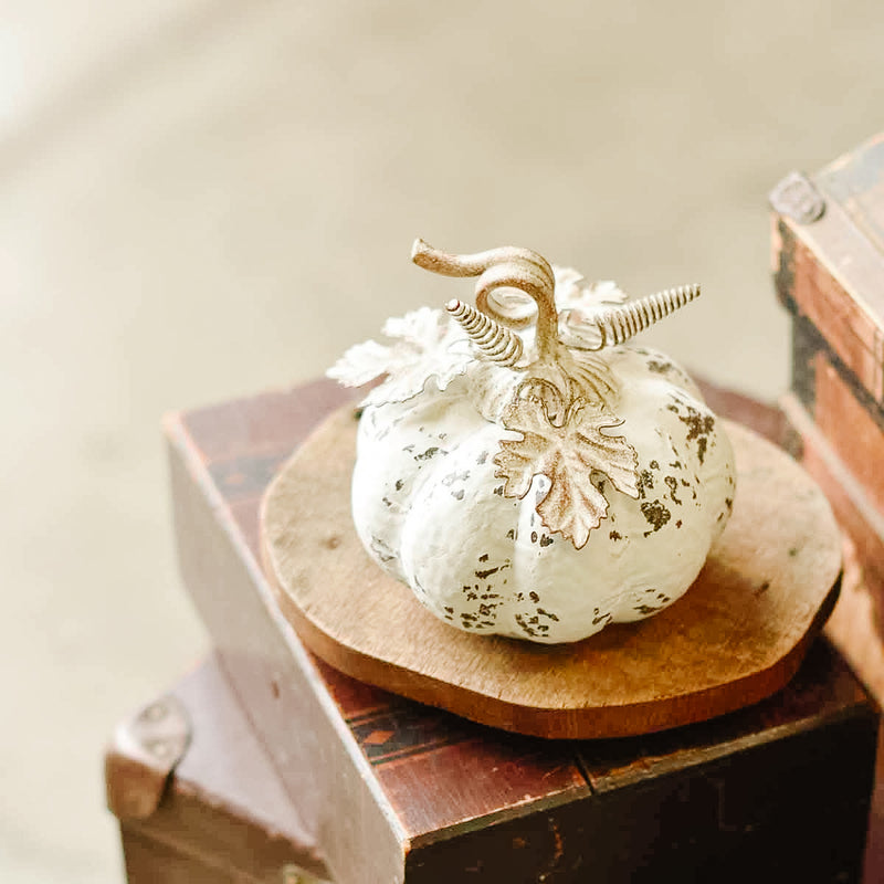 First Frost Pumpkin
