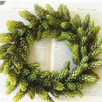 Hops Green Greenery Collection