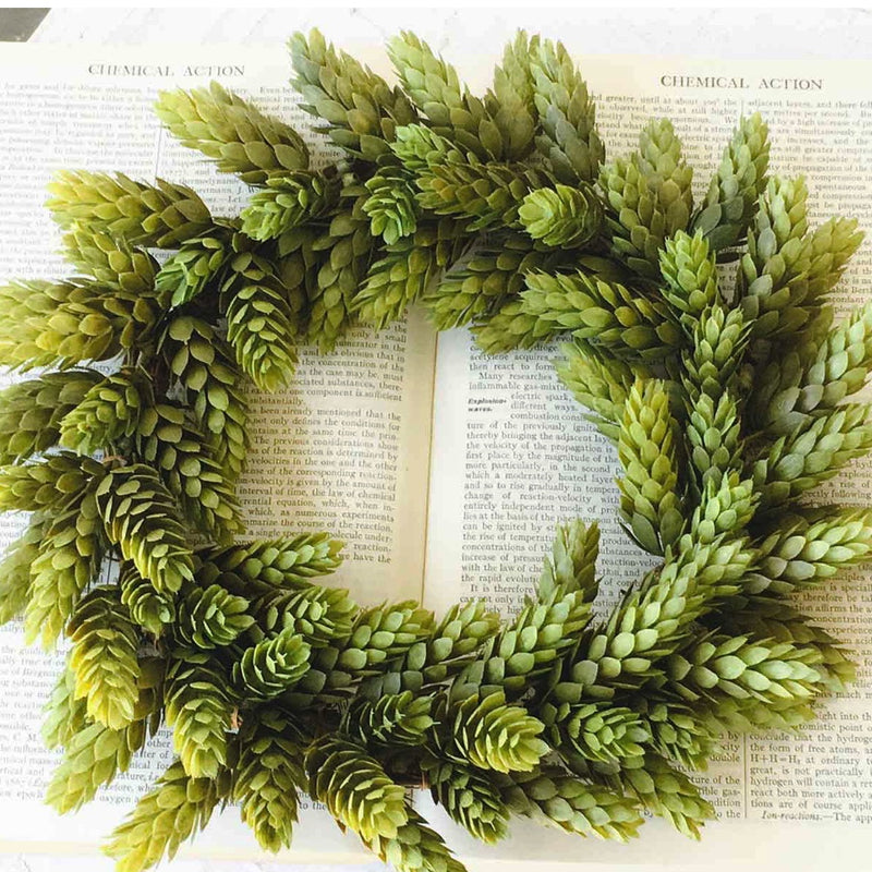 Hops Green Greenery Collection