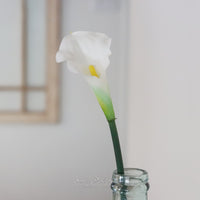 Calla Lilly Fresh Touch Stem 22”L