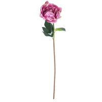 Peony Stem Real Touch 20”