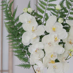 Orchid Stem Fresh Touch 30.5"