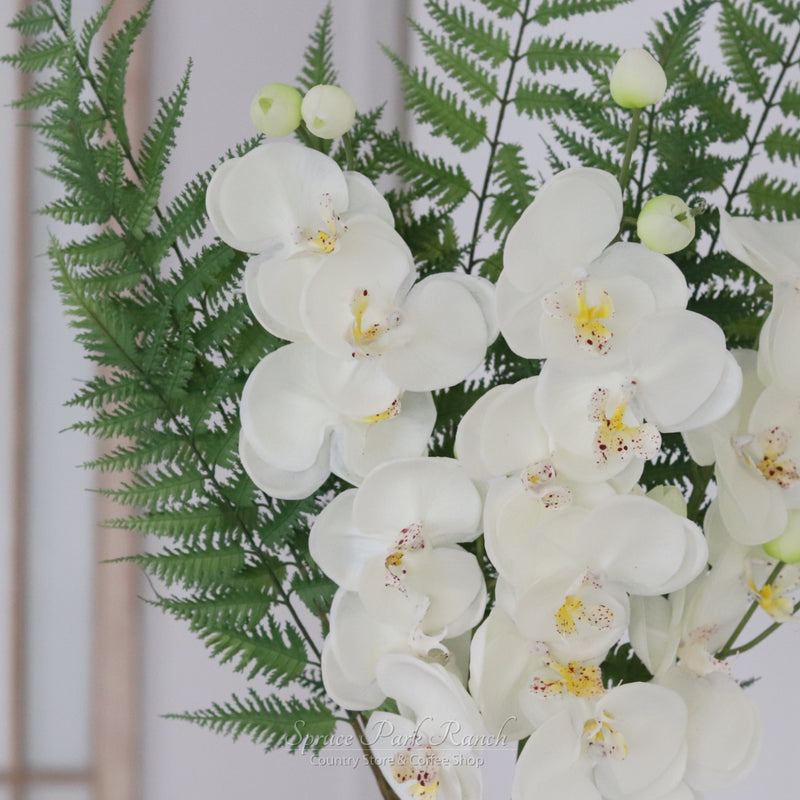 Orchid Stem Fresh Touch 30.5"
