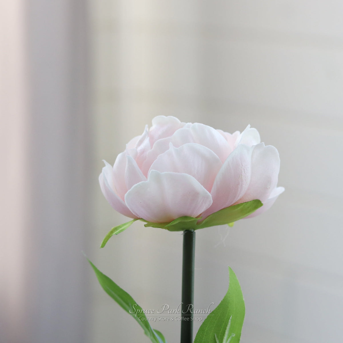 Peony Stem Real Touch 20”