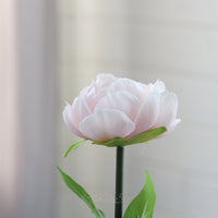 Peony Stem Real Touch 20”