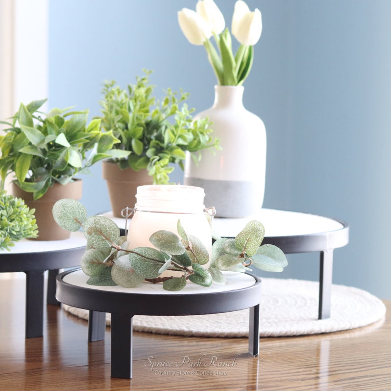 Metal Rim Whitewashed Pedestal Tray