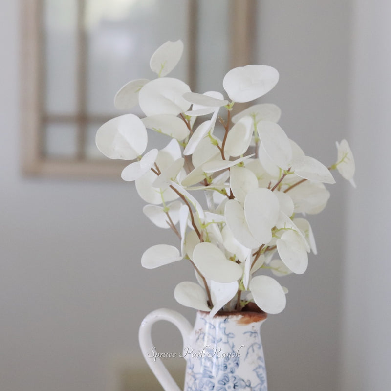 Halo Gleam Eucalyptus Collection