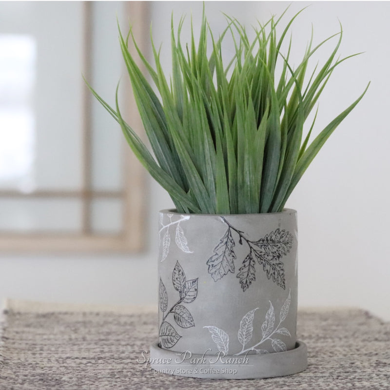 Mini Concrete Botanical Planter