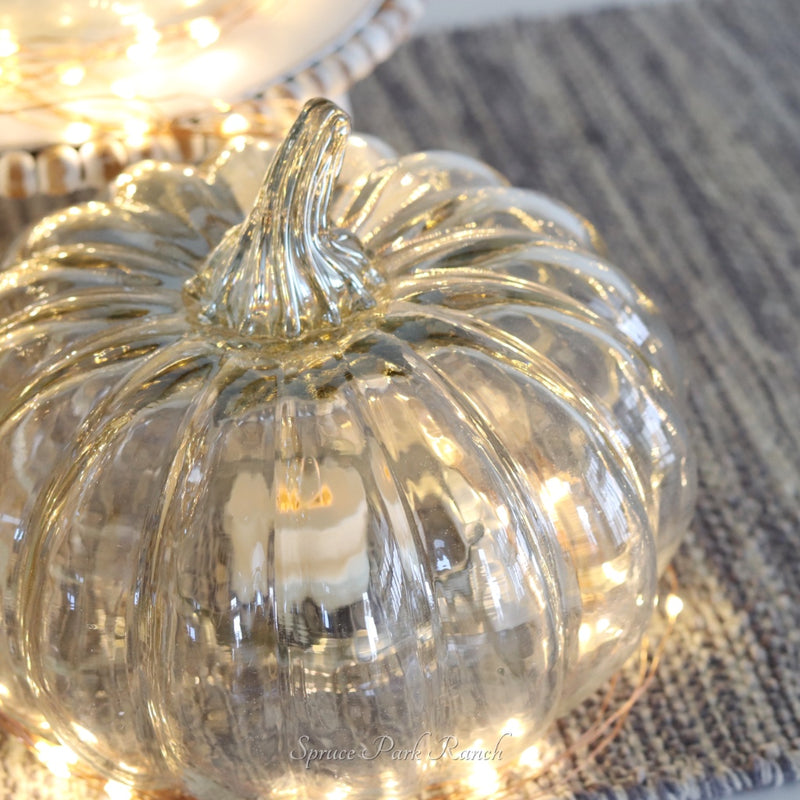 Glass Pumpkin Cloche